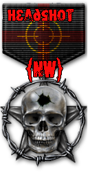 http://nw-clan.3dn.ru/medals/medal_pro_headshot.png