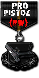 http://nw-clan.3dn.ru/medals/medal_pro_pistol.png